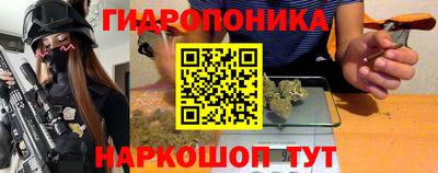 шишки Тулун