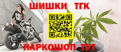 шишки Тулун