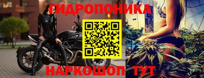 таблы Новозыбков