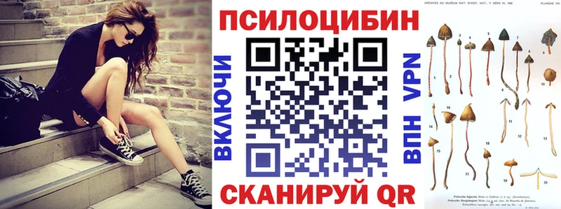 сколько стоит  Тутаев  Псилоцибиновые грибы Cubensis 