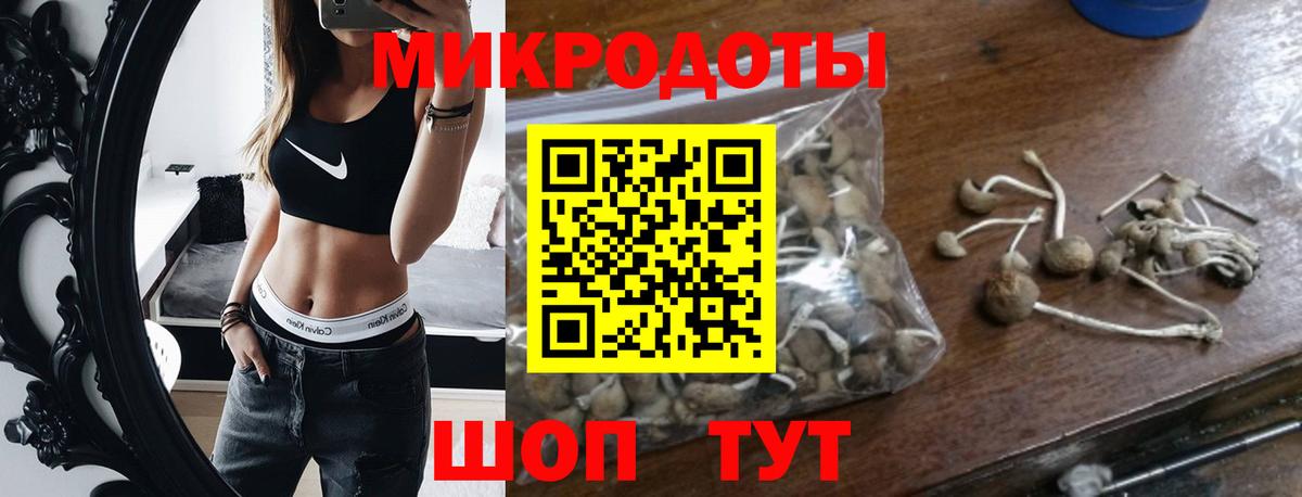 Тутаев  Галлюциногенные грибы мицелий  Вход с VPN 