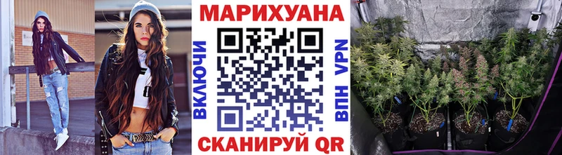 Бошки марихуана планчик  Тутаев 